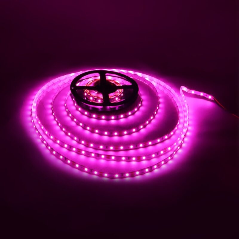 12V Pink color 2835 Strip SMD LED 120 LED Roll - 5 Meter